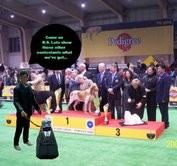 The Doctor at Dog Show